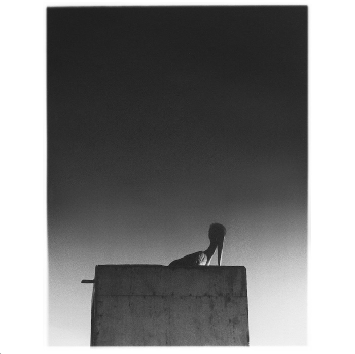 Ø: Sysivalo (Sähkö Recordings 2025).