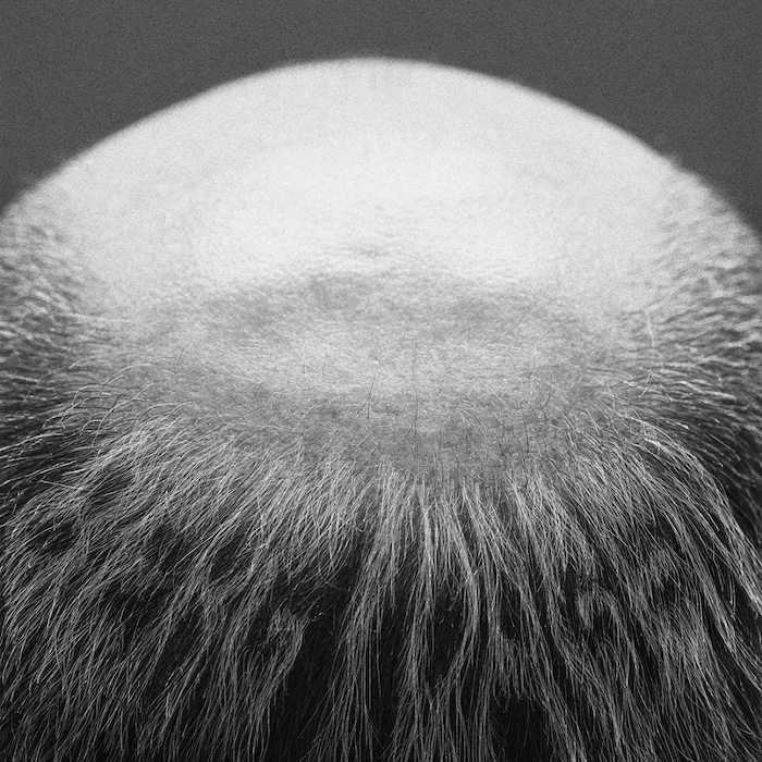 Vasas flora och fauna: Berg i dagen (Startracks 2025).