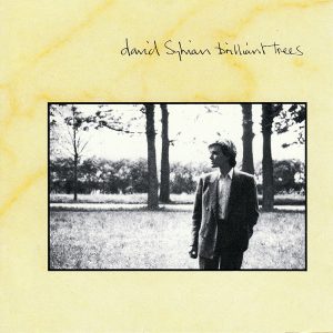 David Sylvian: Brilliant Trees (Virgin Records 1984).