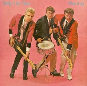 Teddy & The Tigers: Burn It Up (Poko Rekords 1978).