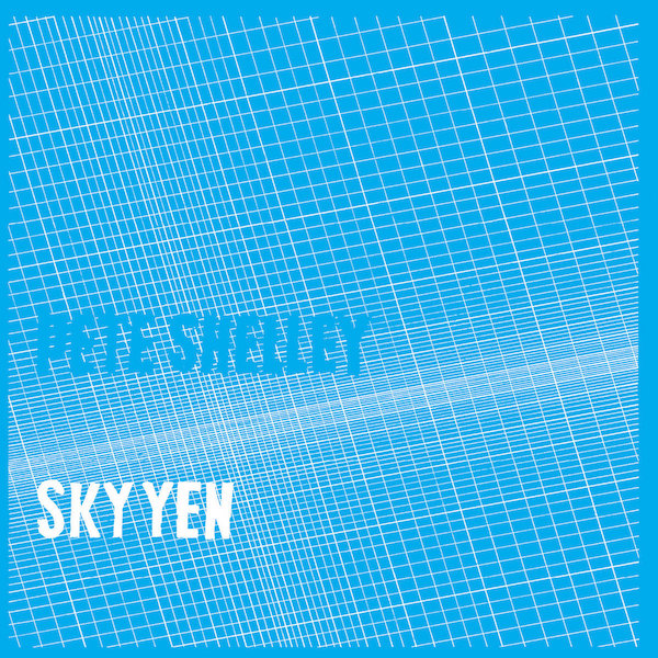Pete Shelley: Sky Yen (Groovy Records 1980).