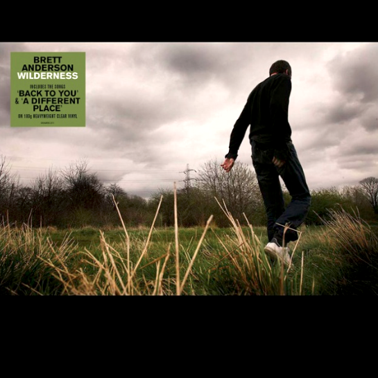 Brett Anderson: Wilderness (B A Songs 2008).