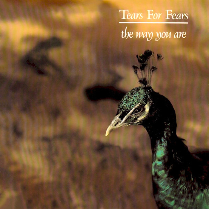 Tears For Fears: The Way You Are (Phonogram/Mercury 1983).