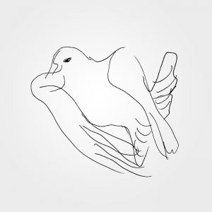 Manna: Blackbird (Soliti 2014).