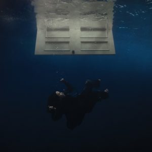 Billie Eilish: Hit Me Hard And Soft (Darkroom / Interscope 2024).