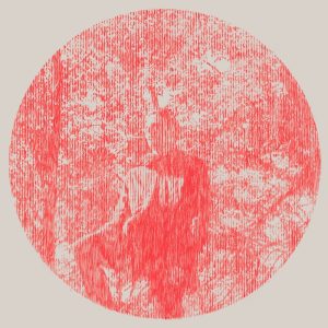 Owen Pallett: Heartland (Domino 2010).
